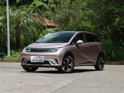 BYD ドルフィン電気自動車